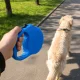 Retractable Tape Dog Leash with Lock, 5m, up to 15kg, Blue