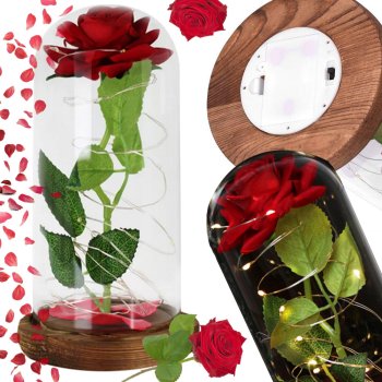Eternal Rose in Glass Dome with LED Lights Romantic Gift, Red