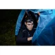 Brennenstuhl LuxPremium KL 251 AF Rechargeable LED Headlamp, 250 lm, IP44