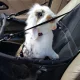 Purlov 20973 Cat Dog Animal Pets Transportation Carrying Bag