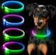 LED RGB Glowing Dog and Cat Collar, Size L (Up to 70 cm)