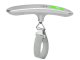 Portable Digital Luggage Scale for Travel, 50kg Capacity