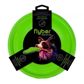 Divpusējs Frisbijs Disks Flyber Waudog 22 cm, gaiši zaļš | Double-sided Frisbee Disc