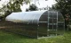 Greenhouse Klasika 36 (3X12M) With Bases And 4Mm Polycarbonate; 4779037490493