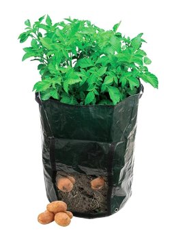 Planting Bag for Vegetables and Potatoes, 33x47 cm, Green