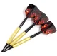Dart Set with 12 Darts, 100 Tips and 42 Flights