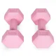 ModernHome Hex Dumbbell Set 2×1 kg Fitness Weights, pink