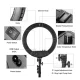 LED Ring Light 34.5cm with Tripod Stand up to 1.85m, Mirror & Phone Holder