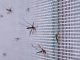Magnetic Window Mosquito Net, 150 x 180 cm, White