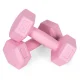 ModernHome Hex Dumbbell Set 2×1 kg Fitness Weights, pink