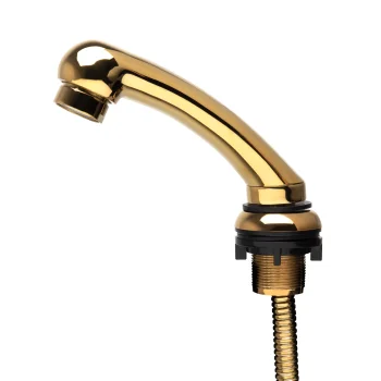 Gabbiano Small Shower Head with Hose for Washbasin Gold