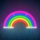 Rainbow LED Neon Sign Forever Light FLNE14X Dimmable USB Wall Decor Light, 5 Colors