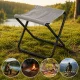 Folding Camping Stool with Metal Frame and Carrier Bag, Grey
