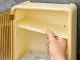 Wall-Mounted Bathroom Shelf with Door and Tissue Dispenser, Beige