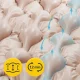 4Fizjo STD Anti-Bedsore Mattress, 200 x 90 cm
