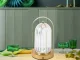 Touch Control LED Table Night Light, 3 Light Modes