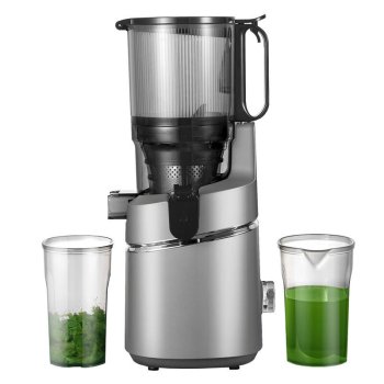 Amzchef SJ-036-GA Slow Juicer, Gray