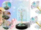 Eternal Rose in Glass Dome with LED Light and Gift Box