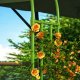 Metal Garden Arch Arbor for Climbing Plants Roses and Vines