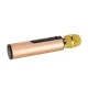 Wireless Karaoke Microphone for Kids with Bluetooth Speaker 2000mAh SD USB, Gold