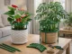Round Plant and Flower Support, 24 cm, Green