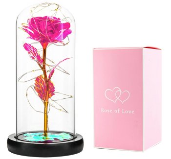 Eternal Rose in Glass LED, Pink