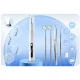 Ultrasonic Dental Scaler with Camera Berdsen Bd-250, 4 Modes, LED