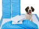 Dog Training Pads 60x60 cm, 40 pcs