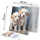 Massido Paint by Numbers Kit 40x50 cm - Adorable Puppies Canvas Art