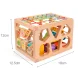Wooden Block Sorter Montessori Sensory Cube