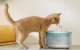 Petlibro Capsule Smart Pet Water Fountain, 2.1L