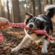 Dog Rope Toy with Loop, 40 cm