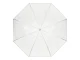 Large Transparent Umbrella for Weddings and Photo Sessions