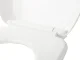 Universal Soft-Close Toilet Seat, White