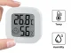 Digital Indoor Thermometer & Hygrometer (4.5 x 4.5 cm)