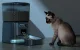 Oneisall PFD001 Pro Smart Pet Food Dispenser, Black