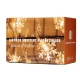 Ikonka Snowflake LED String Lights 10m 100LED, Cold White