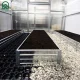Klasika Garden Metal Raised Garden Bed, 1500x500x200mm, Zinc