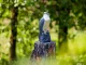 Large Falcon Bird and Rodent Repellent 40 cm