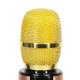 Wireless Karaoke Microphone for Kids with Bluetooth Speaker 2000mAh SD USB, Gold