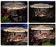 Salokāms dārza lietussargs, saulessargs, 6 segmentu, zaļš, 300cm | Folding Garden Umbrella