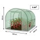 Walk-in Garden Greenhouse 6.6x6.6 ft (43 sq ft) Plonos Polytunnel for Plants