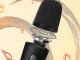 F23A Bluetooth Karaoke Speaker with Microphone & RGB LED