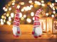 Christmas Gnome with Beard, 48 cm, Grey