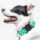 Wozinsky WEA-01 Silicone Case for Apple AirTag Dog or Cat Collar, Black