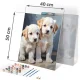 Massido Paint by Numbers Kit Puppies, 40x50 cm