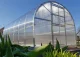 Greenhouse Klasika 36 (3X12M) With Bases And 6Mm Polycarbonate; 4779037490509