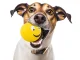 Squeaky Rubber Dog Ball Chew Toy with Funny Face, 6.5 cm