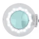 Activeshop S5 LED Magnifying Lamp with Stand, White