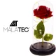Luminous LED Rose in Glass Dome Eternal Flower Malatec 21619